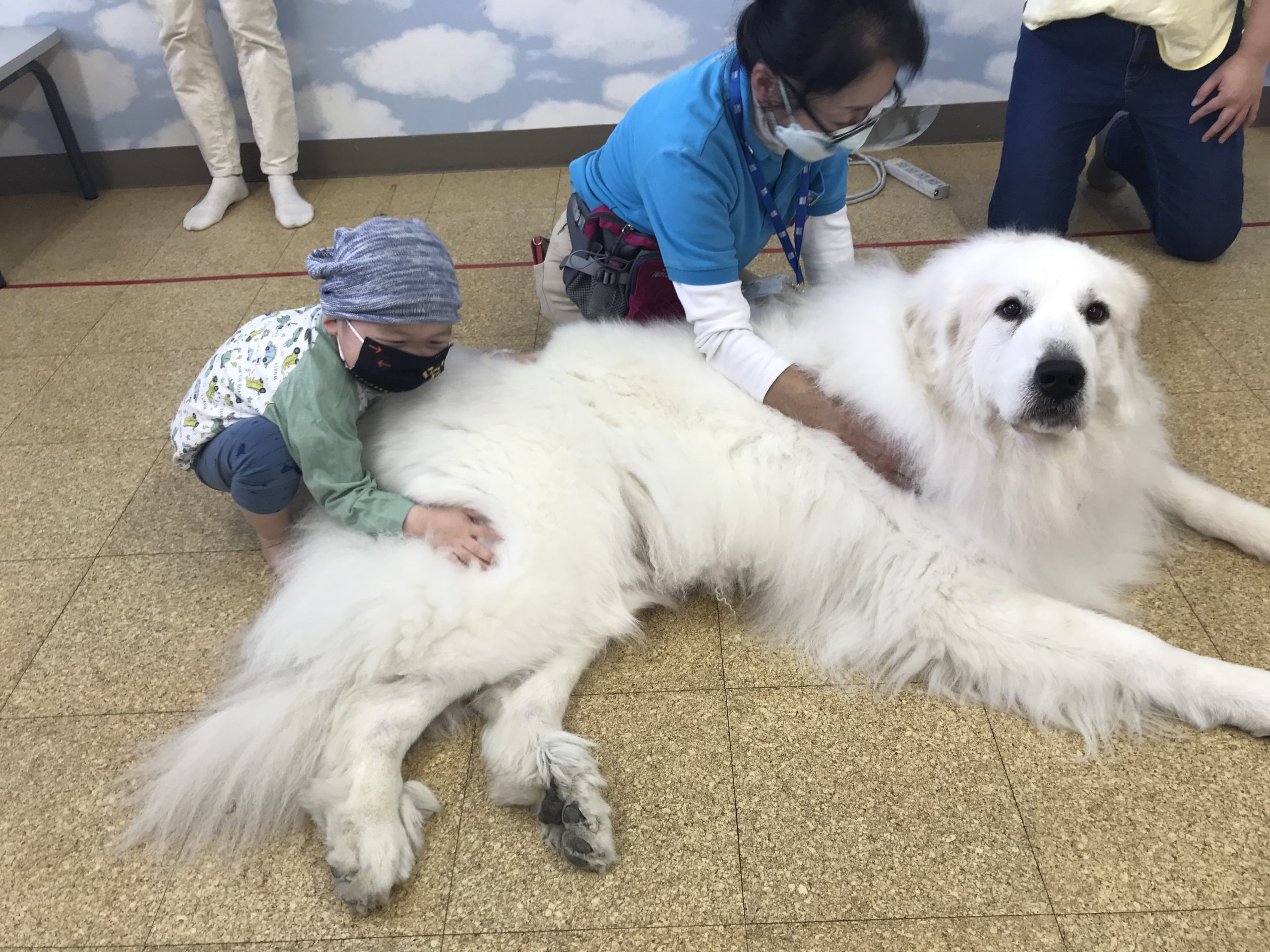 ３月１５日　千葉県こども病院　アニマルセラピー　