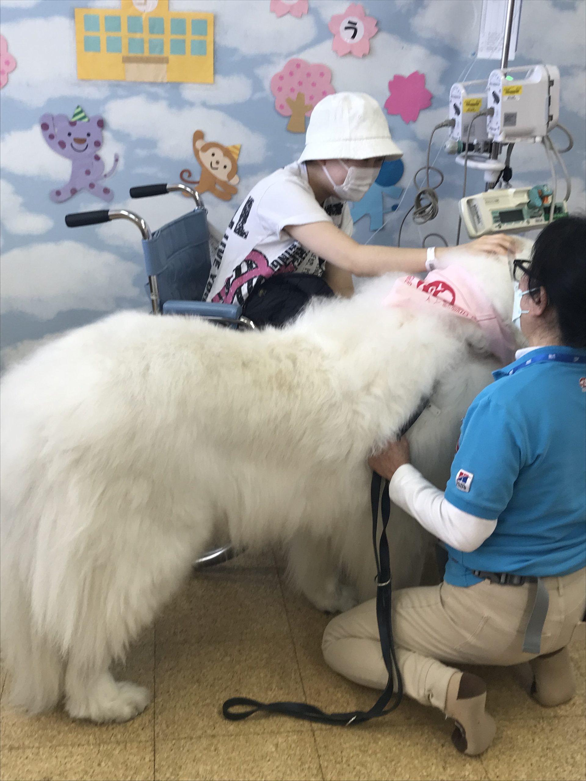 ３月１５日　千葉県こども病院　アニマルセラピー　