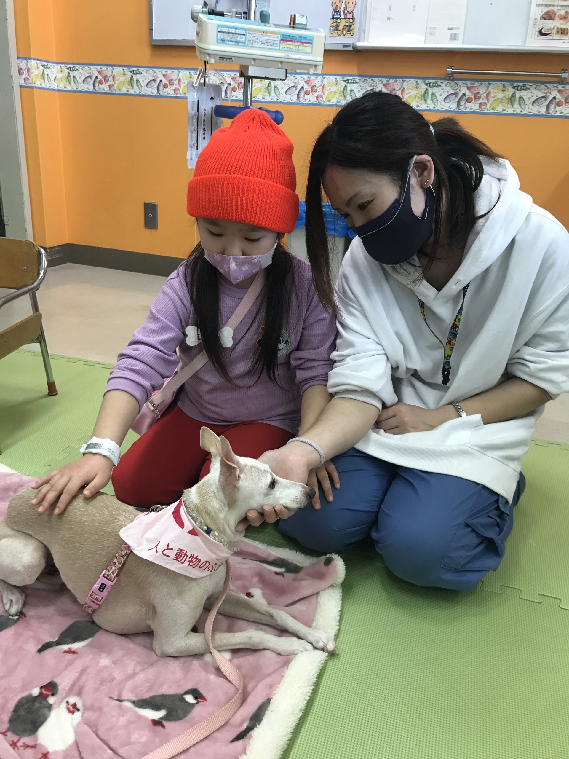 ３月１５日　千葉県こども病院　アニマルセラピー　