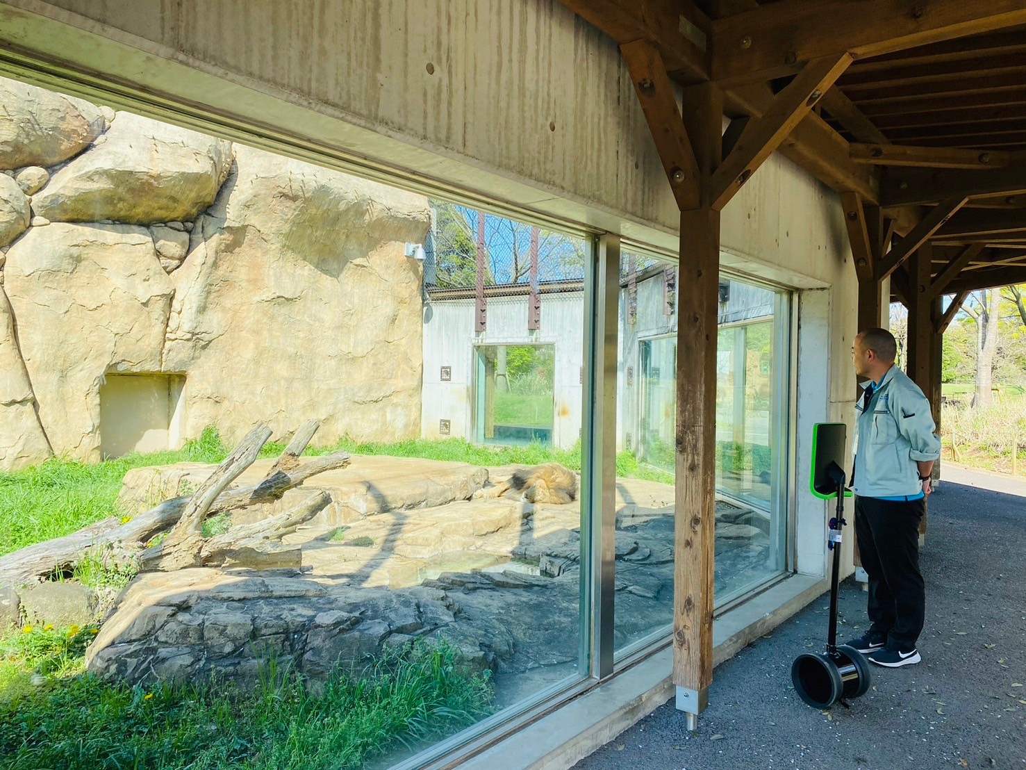 4月10日　千葉大学医学部附属病院小児科　千葉市動物公園のオンライン見学