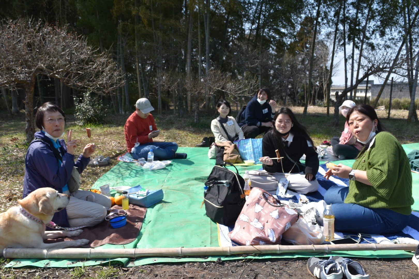 3月16日　春のピクニック