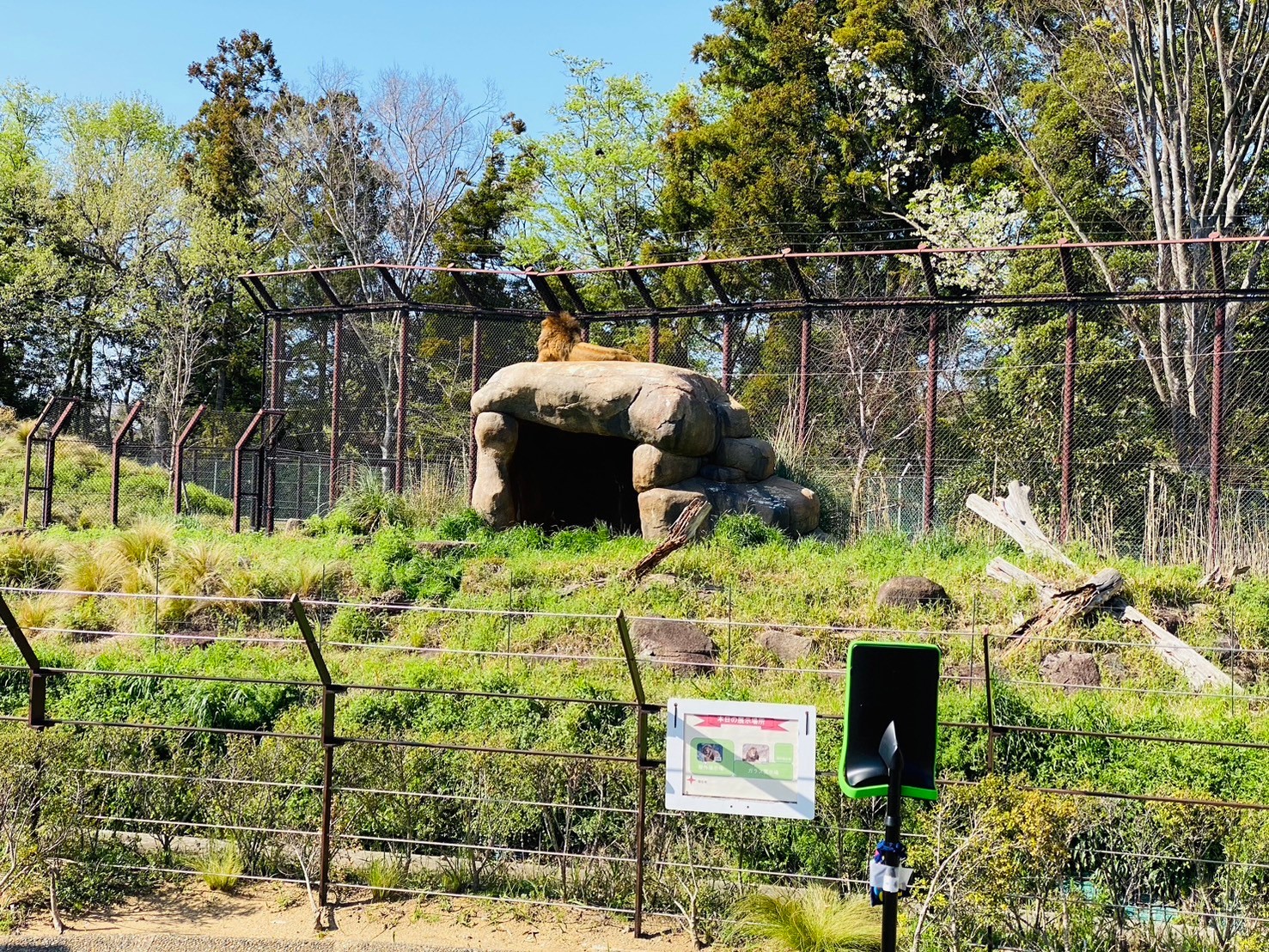 4月10日　千葉大学医学部附属病院小児科　千葉市動物公園のオンライン見学