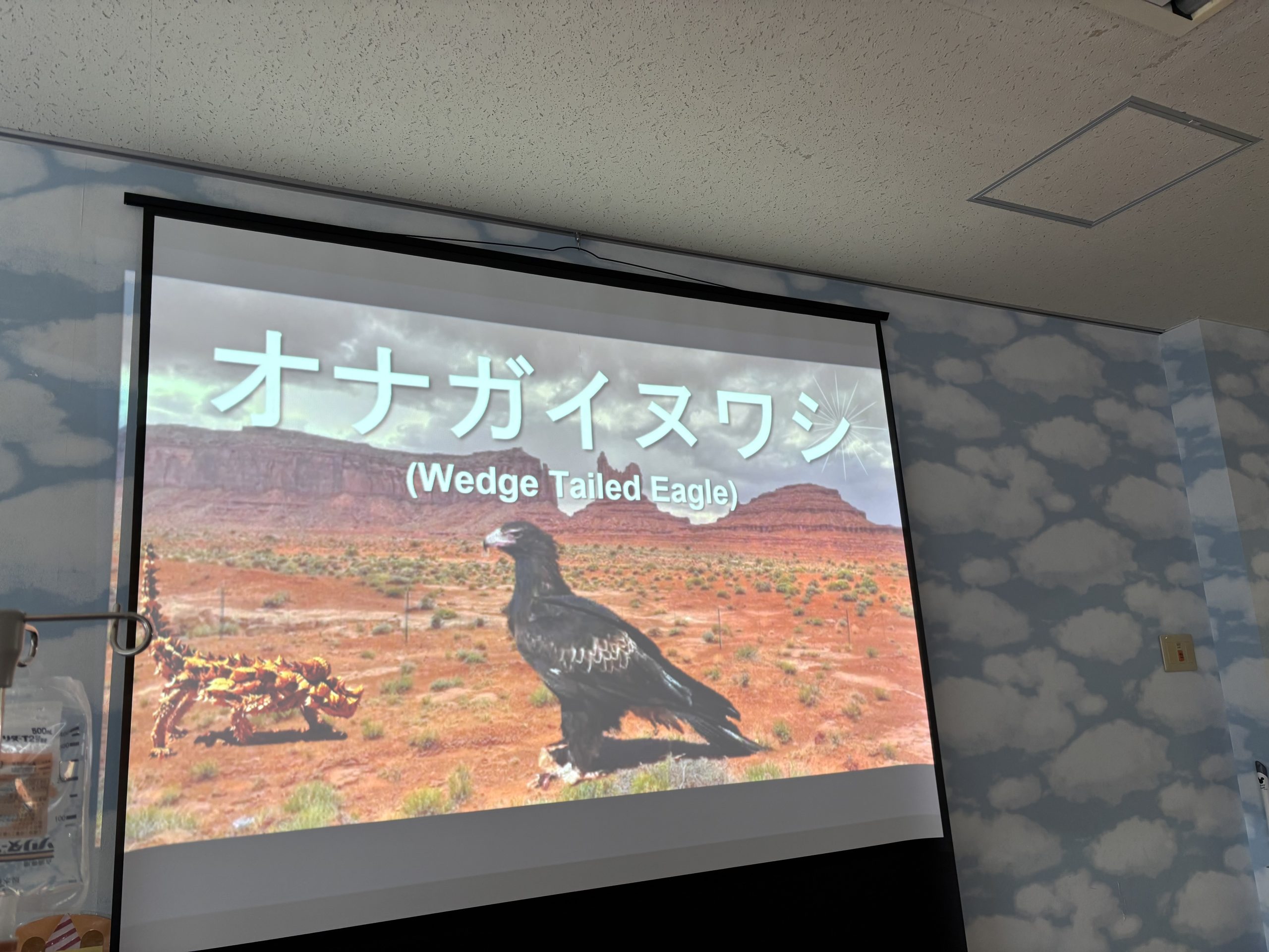 7月30日　千葉県こども病院　「オーストラリア　ウルルへGo！」